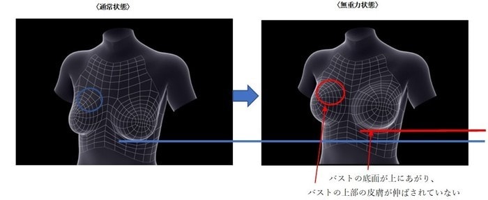 通常状態と無重力状態の図.jpg